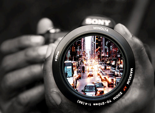 Curso a distância gratuito de fotografia na Universidade de Harvard