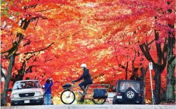 Intercâmbio em Vancouver: Dicas e Atividades do Outono
