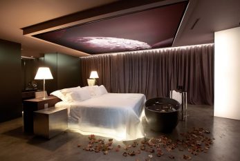 The Vine - Desing Suite