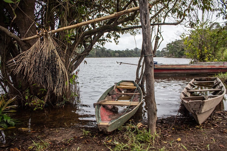 Canoas típicas da região amazônica Foto Giordano Santana
