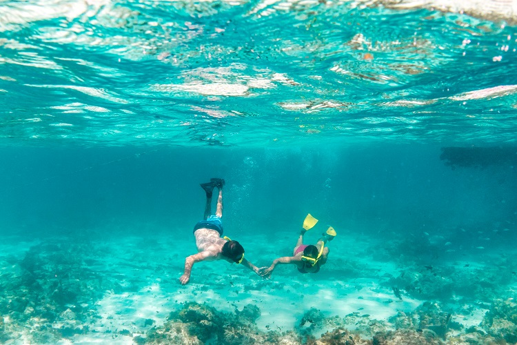 Underwater - Crédito Aruba Tourism Authority