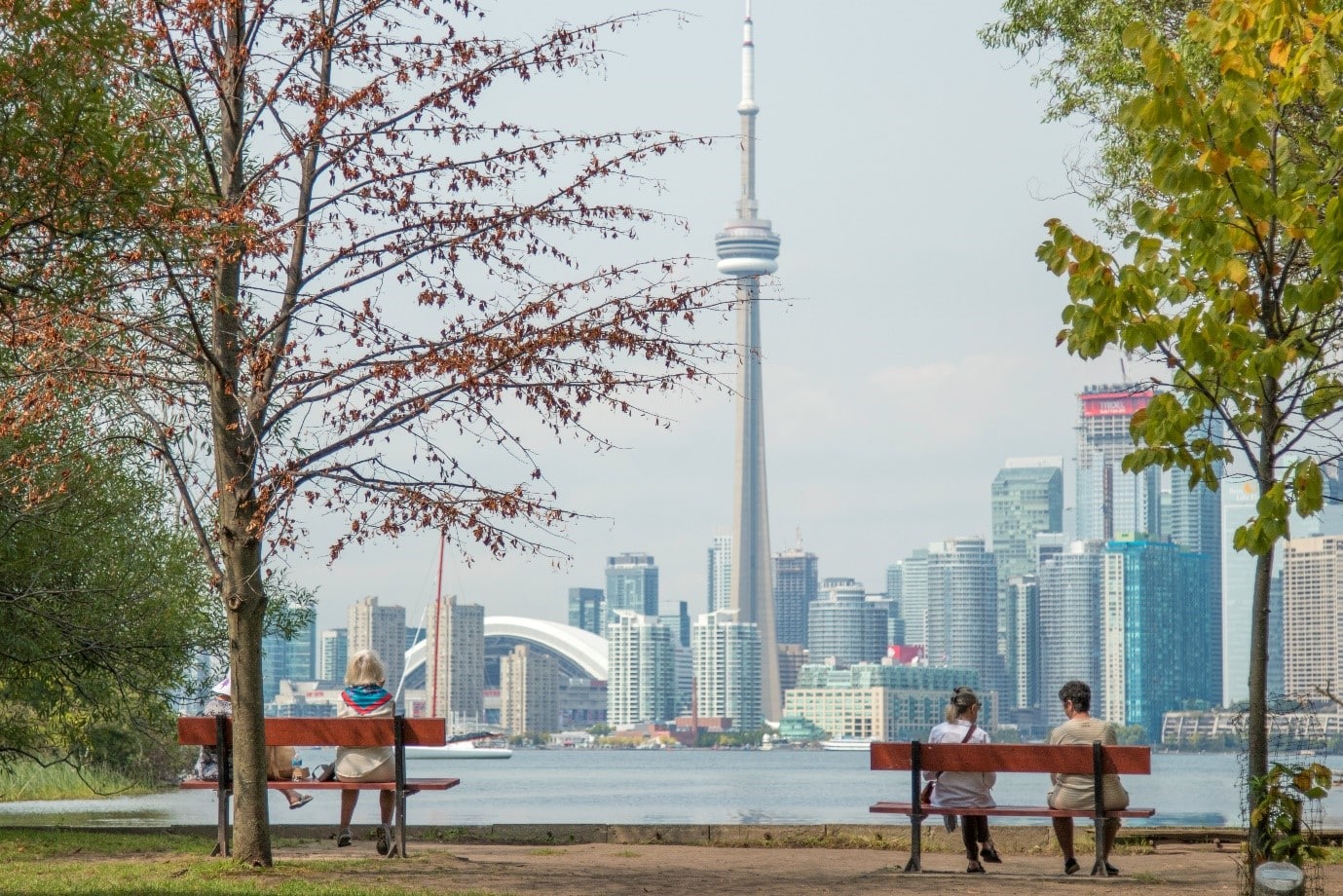 Niagara College – Toronto anuncia aumento de bolsas de estudos para início de 2023