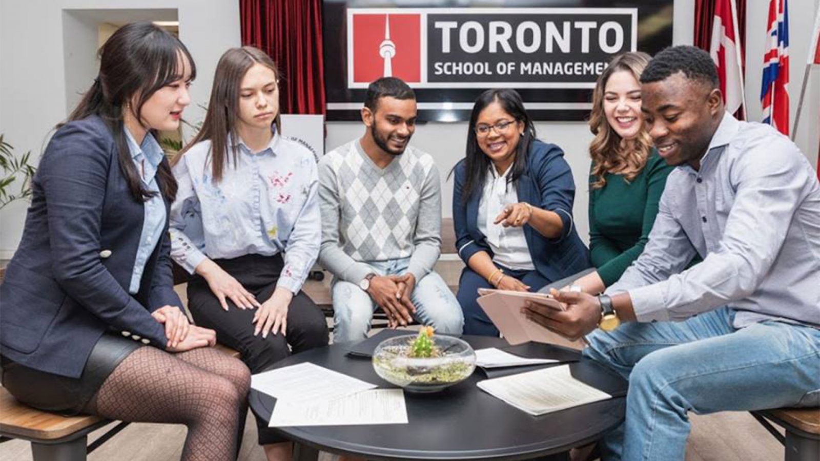 Toronto School of Management lança novo programa em estudos paralegais