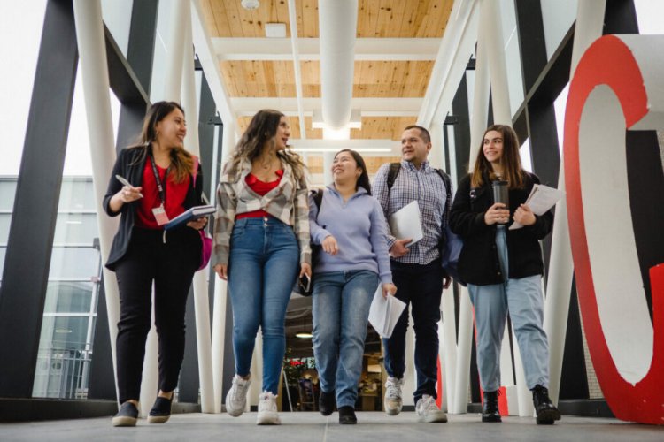 Programas de Estágio preparam os estudantes para o mercado de trabalho canadense